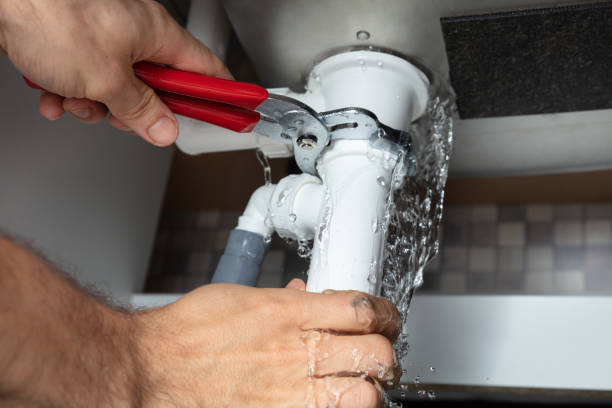 Best Basement water damage restoration  in Bunker Hl, IL
