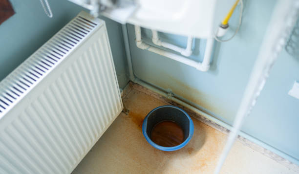 Best 24/7 water damage repair  in Bunker Hl, IL