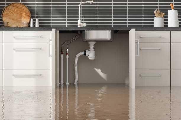 Best Commercial water damage restoration  in Bunker Hl, IL