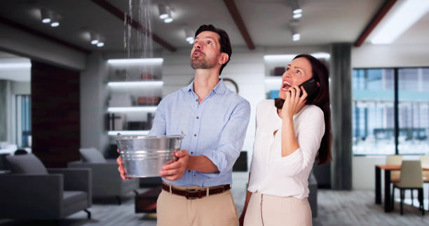 Best Water damage restoration near me  in Bunker Hl, IL