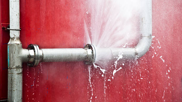 Best Flood damage cleanup  in Bunker Hl, IL